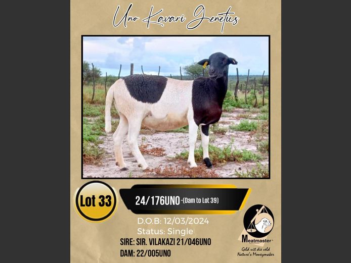 24/176UNO TANANA | UNO KAVARI 