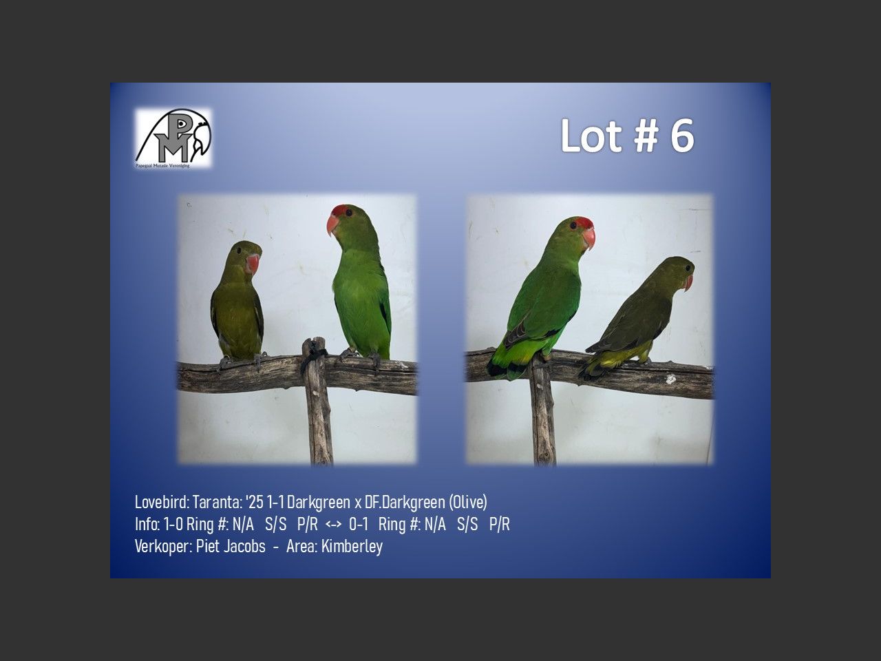 images