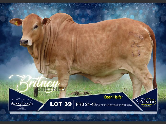 PRB 240043 | PEINKE RANCH