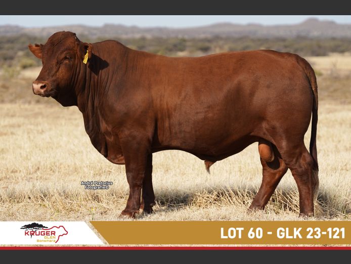 GLK230121 | KRUGER GLEN BONSMARAS
