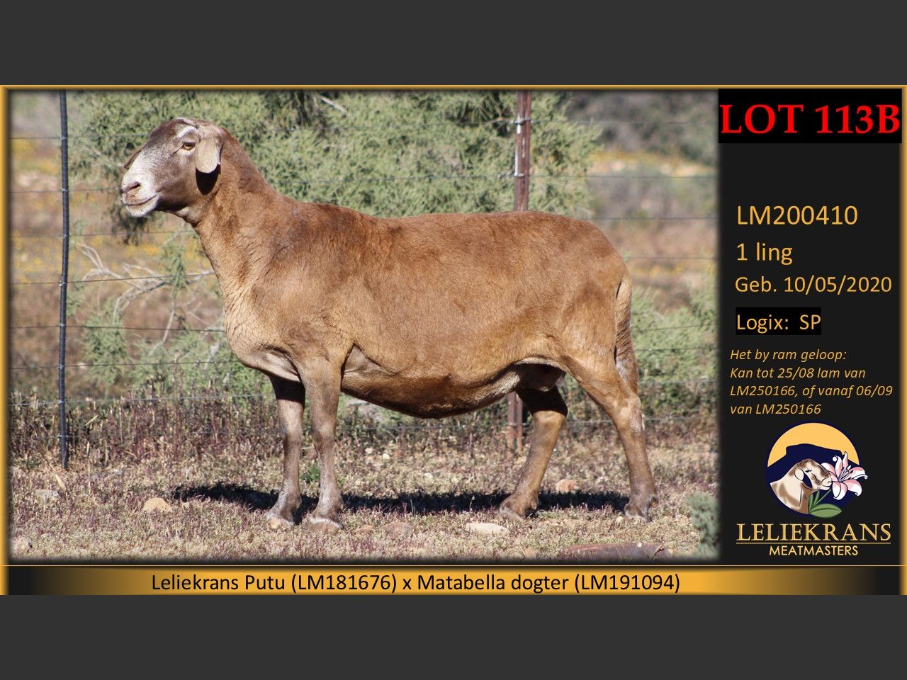 images