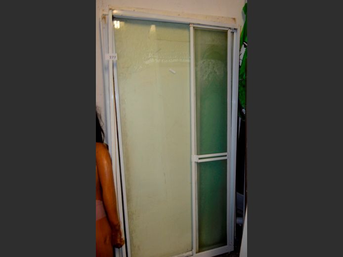 SHOWER DOOR