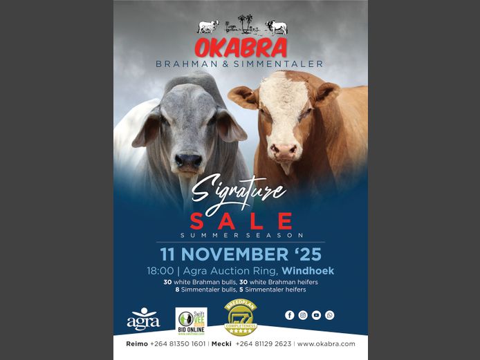 OKABRA SIGNATURE SALE