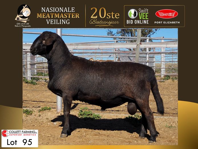 CC 250023 | COLLETT FARMING CC