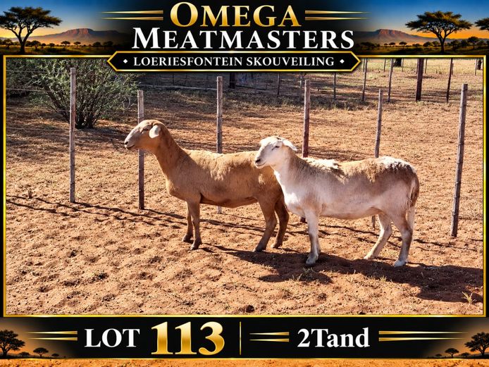 Omega Meatmasters