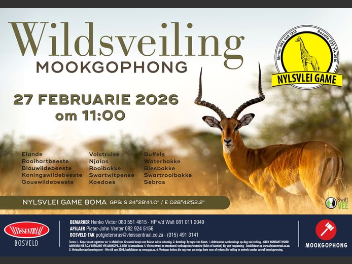 NYLSVLEI GAME TRADERS WILDSVEILING