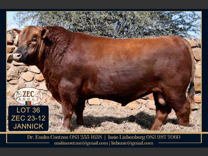 ZEC 230012 | Z.E. COETZEE