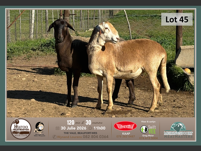 SB 091 | Tiaan Lourens - Meiringspoort Meatmasters