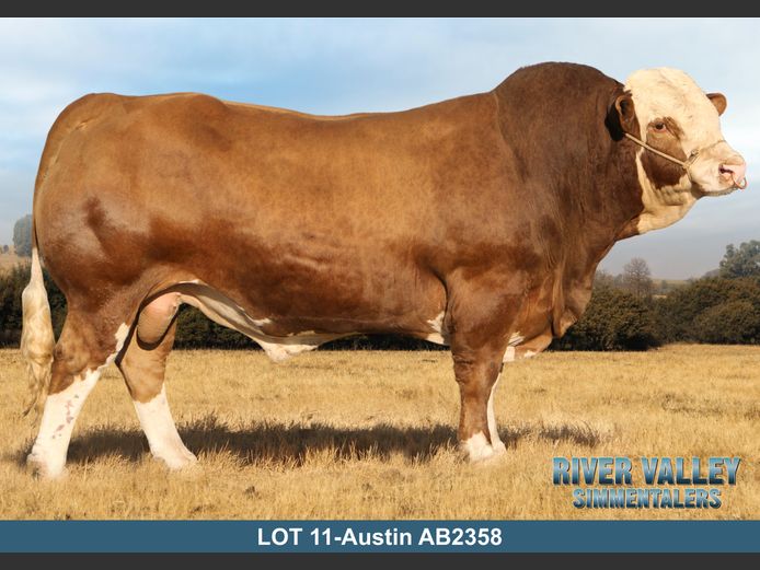 AB2358 | PA ABRAHAMSE