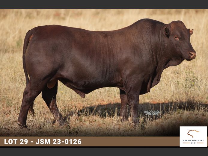 JSM 230126 | MARAIS BONSMARAS