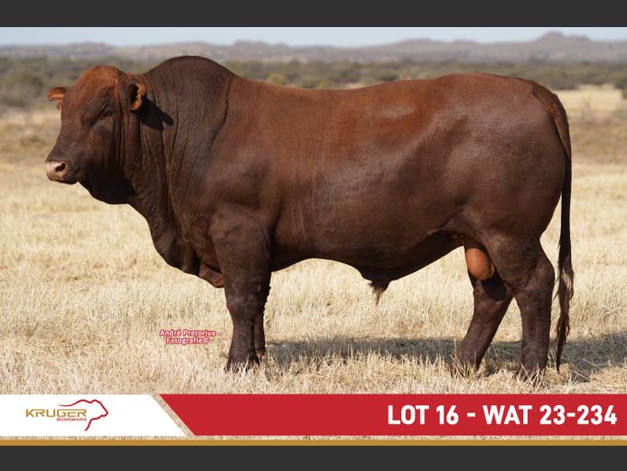 WAT230234 | KRUGER BOERDERY