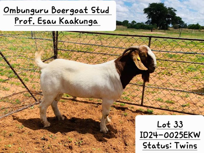 24-0025EKW | PROF. ESAU KAAKUNGA