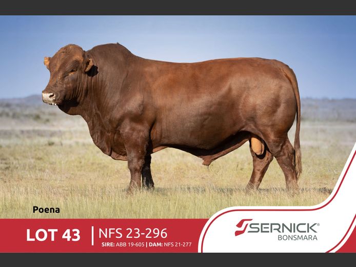 NFS 230296 Pp(c) | SERNICK BONSMARA STOET