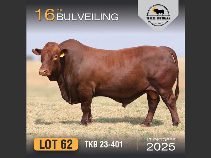 TKB 230401 | TIAN KRUGER BOERDERY PTY LTD