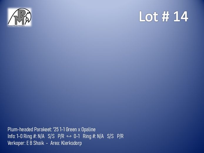 1-1 '25 Plum-headed Parakeet: Green x Opaline - E B Shaik