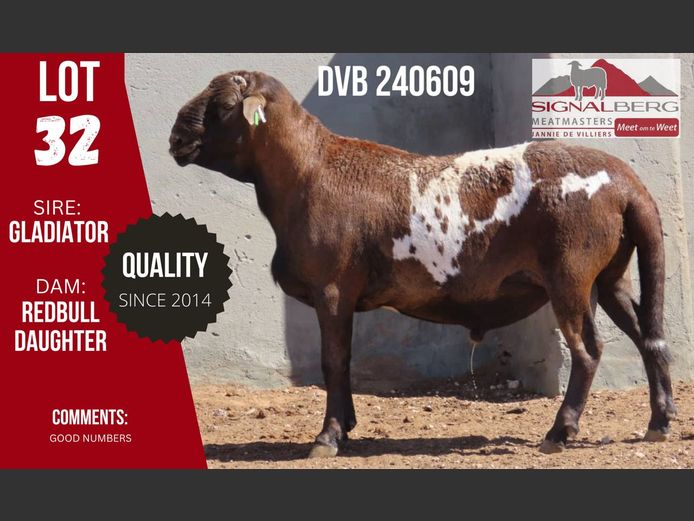 DVB 240609 | SIGNALBERG MEATMASTERS