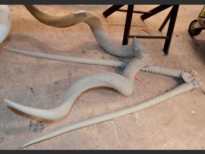 LOT: PAINTED KUDU & GEMSBOK HORNS