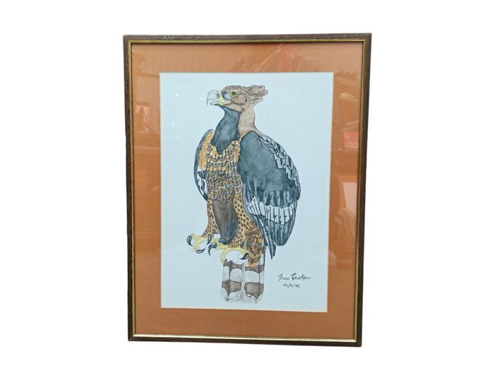 Original Wildlife Watercolor Painting of a Bird of Prey by Bruce Robertson (1986)