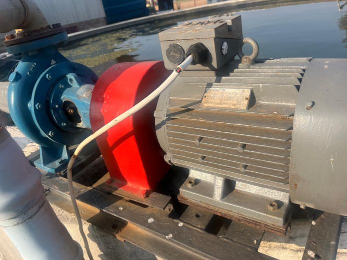 PERFORMA WATER PUMP 65-20