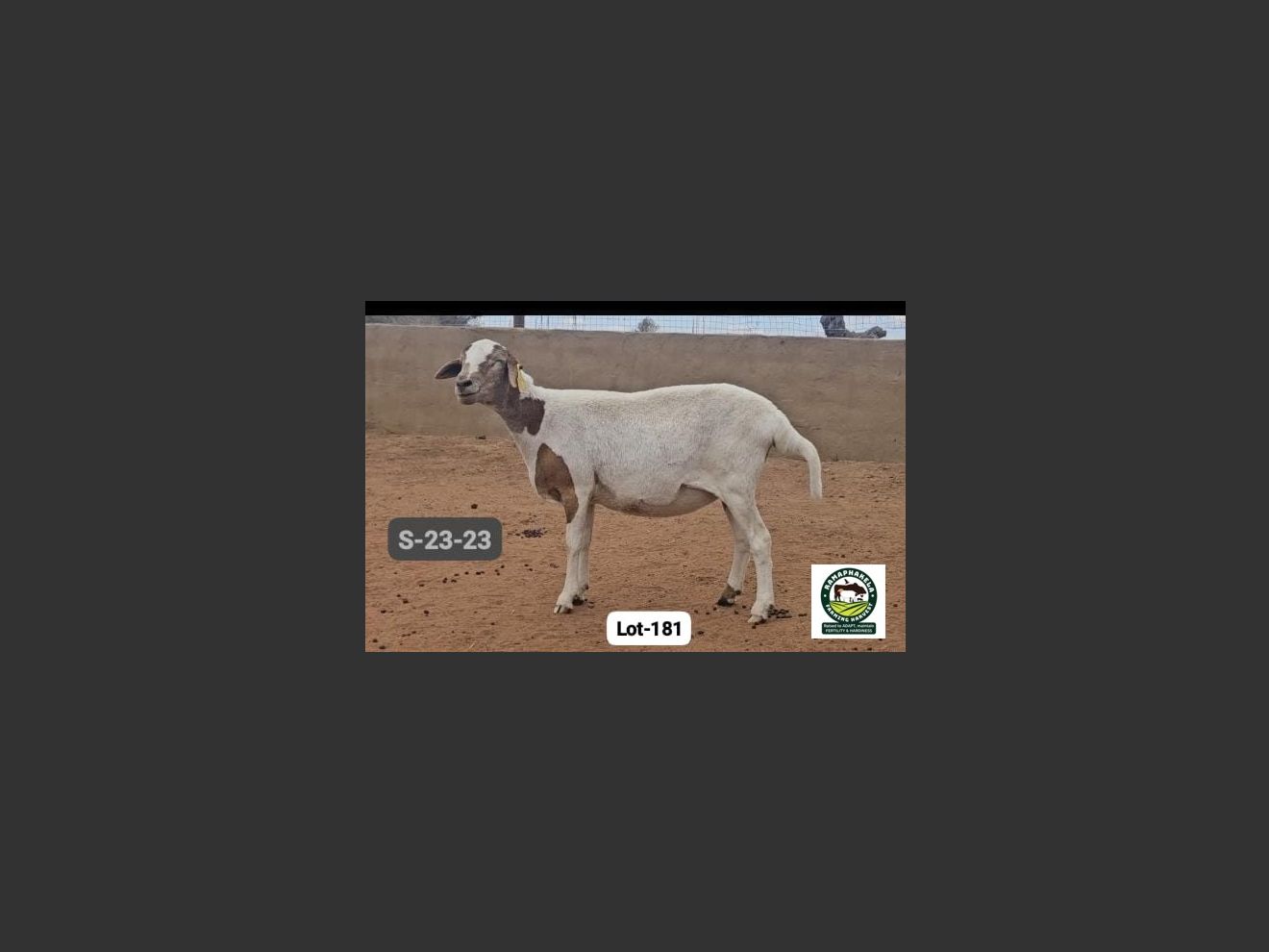 images
