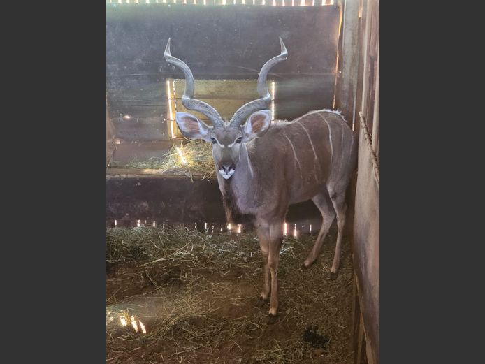 KUDU | DEELKRAAL