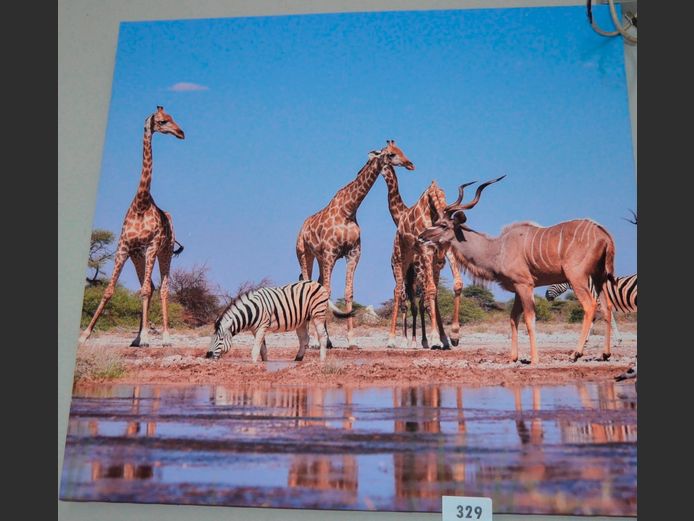 PHOTOGRAPHIC PRINT ON CANVAS "WILDLIFE", 88 x 83.5cm
