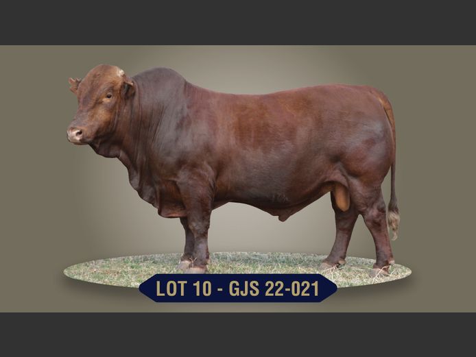 GJS220021 | G.J. STRYDOM