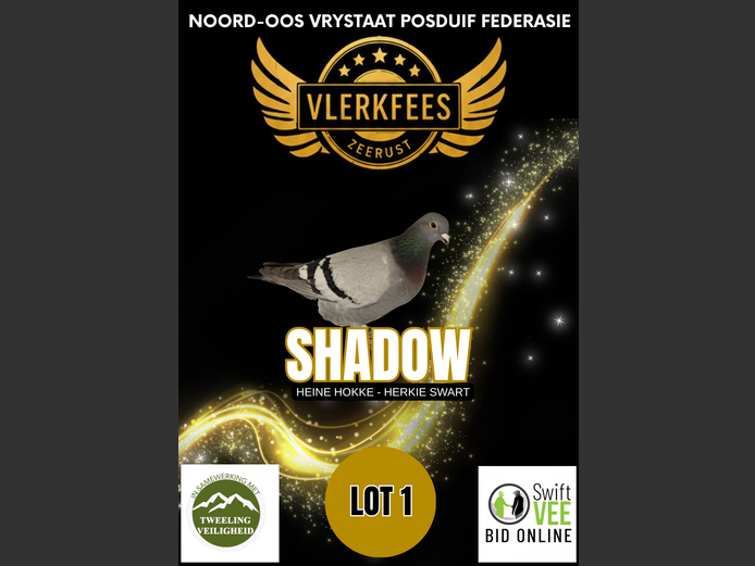 SHADOW | HEINE HOKKE - HERKIE SWART