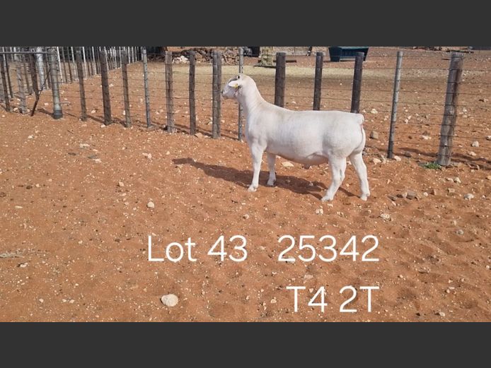 916250341W | R.J. CAHI & SON CC