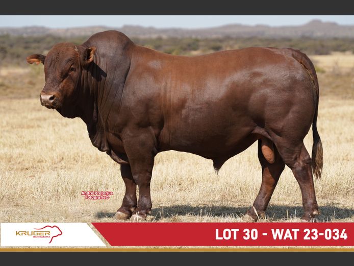 WAT230034 | KRUGER BOERDERY