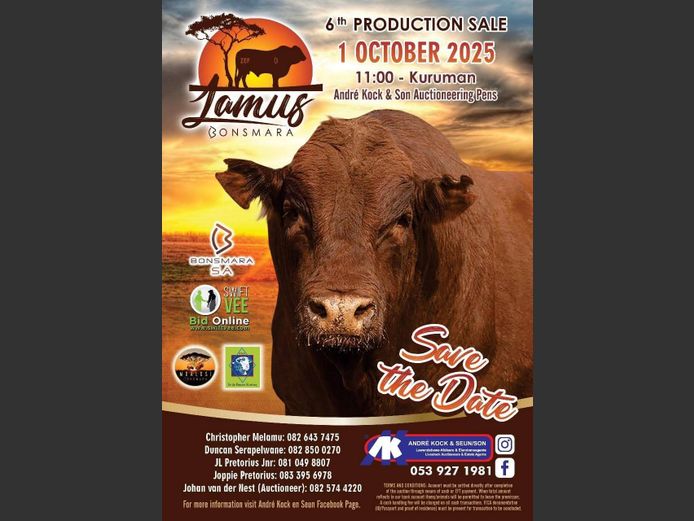LAMUS BONSMARA 6TH PRODUCTION SALE