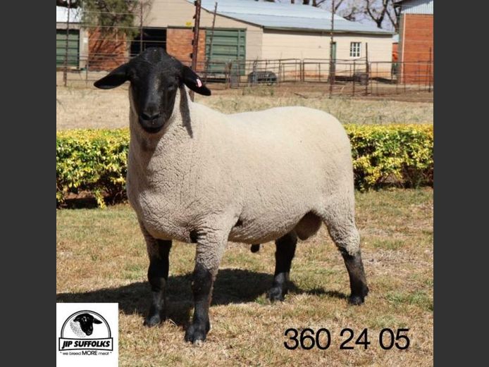 360 240005 | J.I. POTGIETER