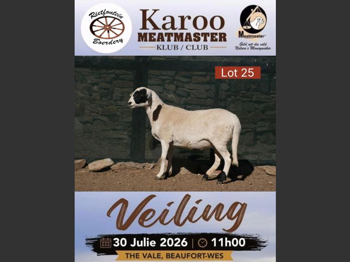 L 048 | Tiaan Lourens - Meiringspoort Meatmasters