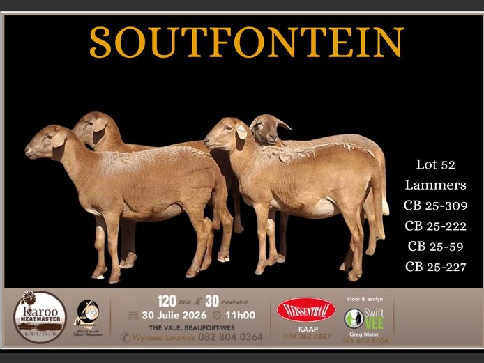 CB 25 - 227 | Charles Bloem - Soutfontein Meatmasters