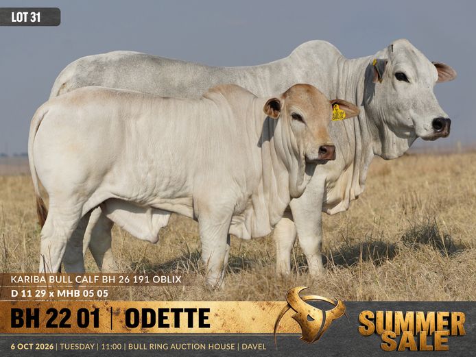 BH220001 | B. HURWITZ FARMING