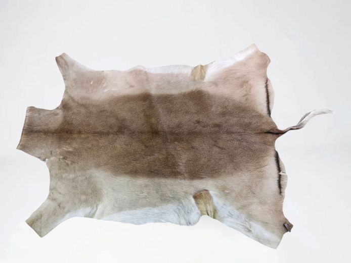 Genuine South African Springbok Hide Rug