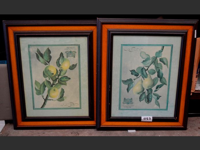 PAIR FRAMED FRUIT PRINTS, 42 x 31cm
