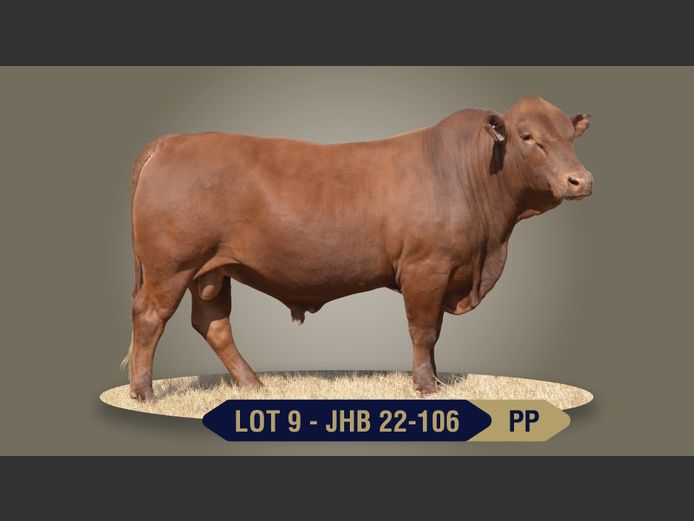 JHB220106 | BOONS BOERDERY CC