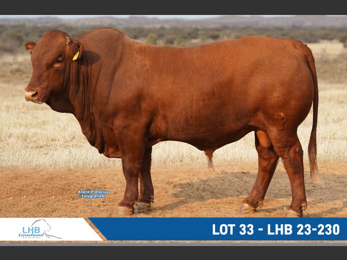 LHB230230 | LEEUHEUWEL BOERDERY (EDMS) BPK