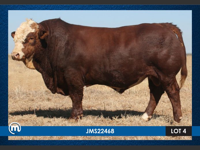 JMS22468