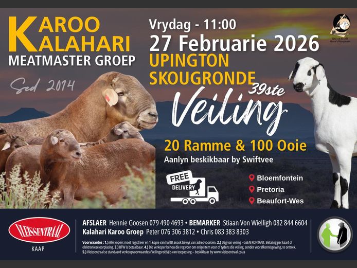 KALAHARI KAROO MEATMASTER GROEP 39STE VEILING