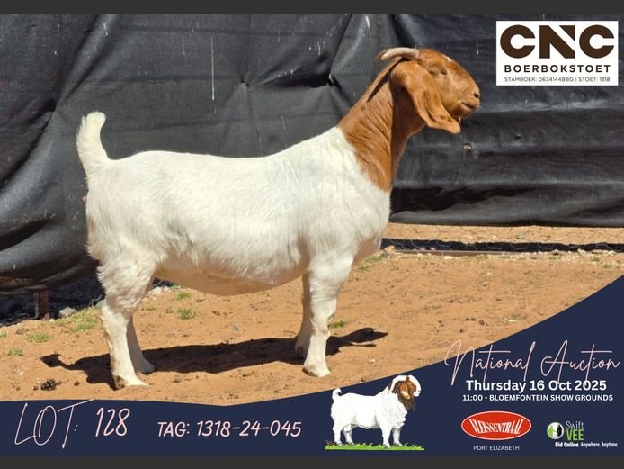 1318-24-045 | Connie Coetzee (CNC Boerbokstoet)