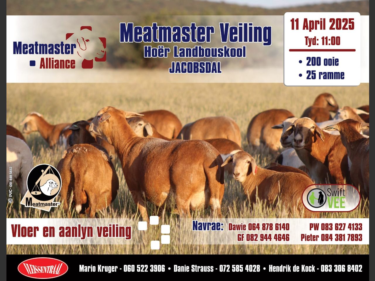 MEATMASTER ALLIANCE MEATMASTER VEILING | SwiftVEE | South Africa’s ...