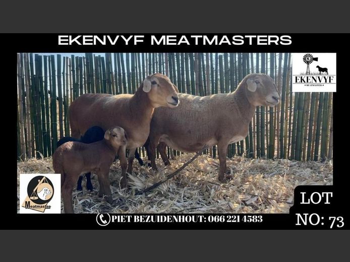 Ooi | EKENVYF MEATMASTERS