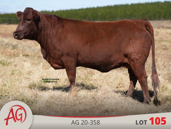 AG200358 HH(c) | ARTHUR DE VILLIERS & SEUN