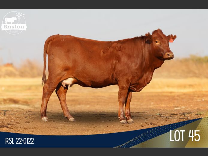 RSL 220122 | RASLOU BONSMARAS