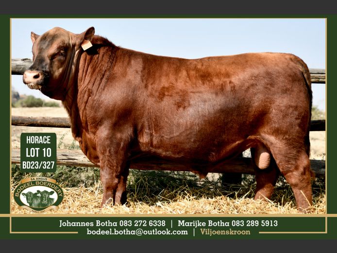 BD 230327 | BODEEL BOERDERY