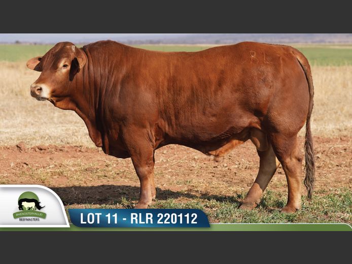 RLR 220112 | RHENOSTERVALLEI