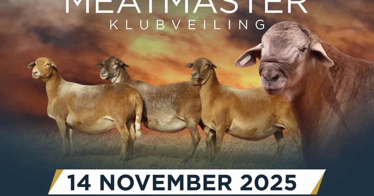 SENTRALE BINNELAND MEATMASTER KLUBVEILING | SwiftVEE | South Africa’s ...