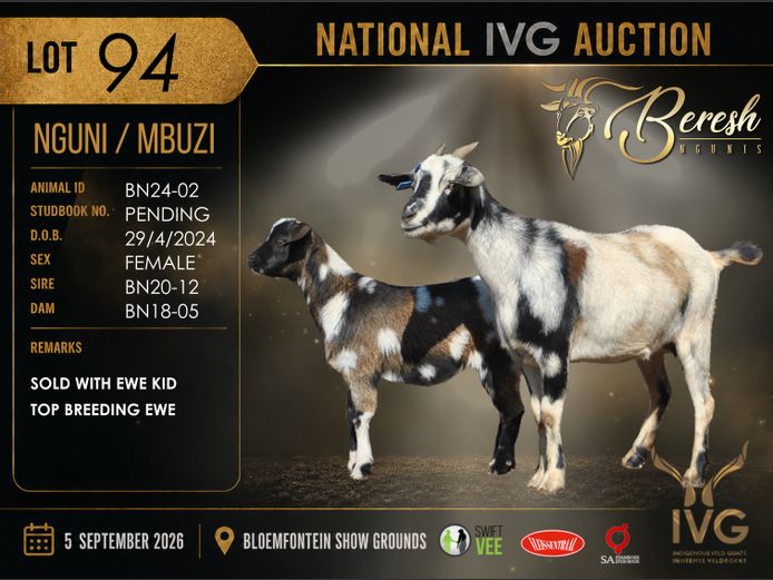 BN24-02 | BERESH NGUNI STUD